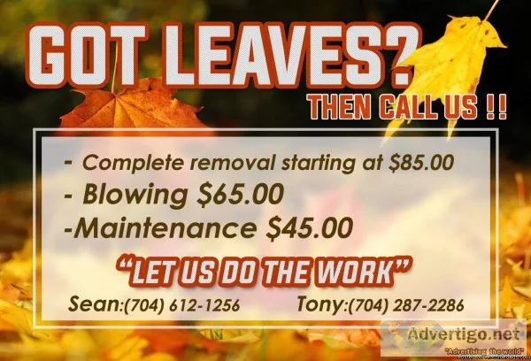Leaf removal SPECIAL