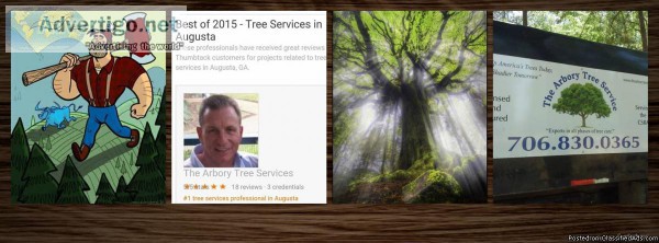 Tree Removal Service Augusta GA  Entire CSRA  Check Our Reviews