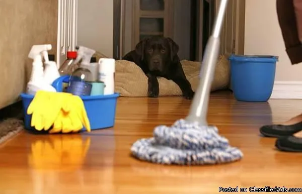 Cleaning TechnicianHousekeep erCleaning Lady