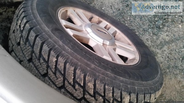Tires and rims