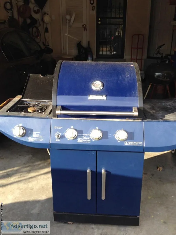 Outdoor Gas Grill