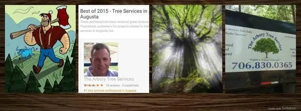 Tree Removal Services Augusta GA  Serving Entire CSRA  The Arbor