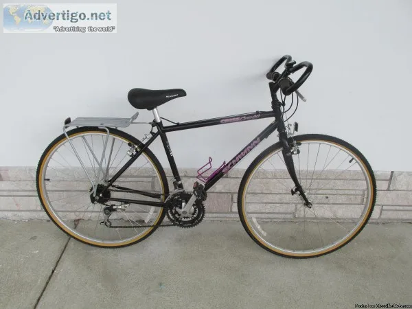 Schwinn Crisscross 21 Speed - 250 (Christopher Metcalfe s Creati