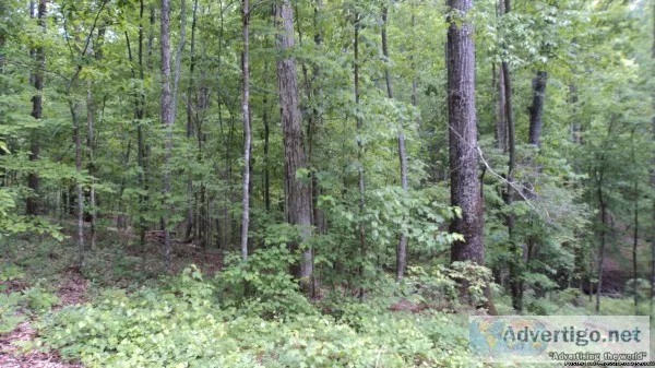 31 Wooded Acres creek 40 mi NW Atlanta