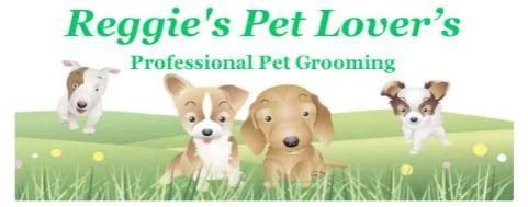Experienced Groomer and Bather Wanted