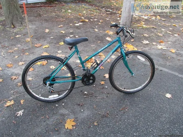 Murray Mt Climber 10 speed by Christopher Metcalfe Creation s