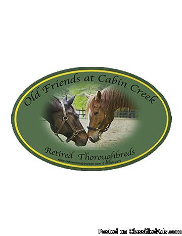 Old Friends at Cabin Creek 7th Annual Horses Birthday Party