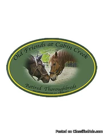 Old Friends at Cabin Creek 7th Annual Horses Birthday Party
