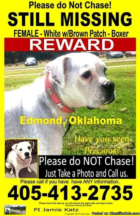 LOST WHITE BOXER