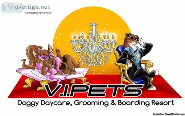 Doggy Daycare Boarding and Grooming