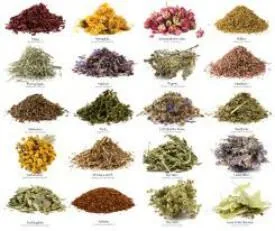 All Natural Products