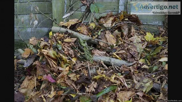 I ll rake bag and make those leaves disappear...