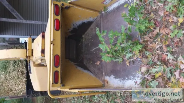 low price tree service licins