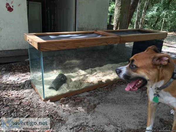 Snaketank