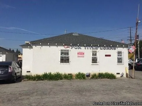 Adopt Bea a Australian Cattle Dog  Shepherd (Unknown Type)  Mixe