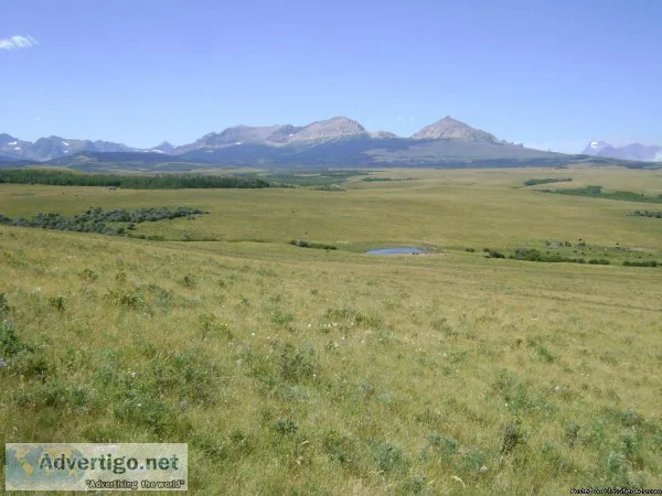 2 Pastures For Lease 150ac each