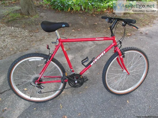 Nishiki Adult Pueblo Mountain Bike Christopher Metcalfe Creation