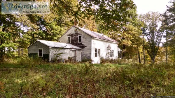 Neglected house and 12.56 acres