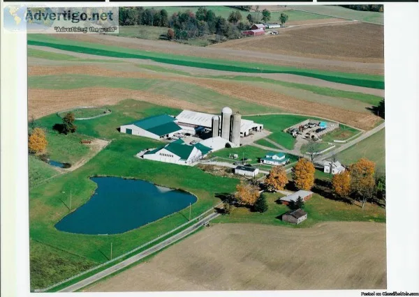 LIVESTOCK  BARN  100X200   GREAT FEED LOT