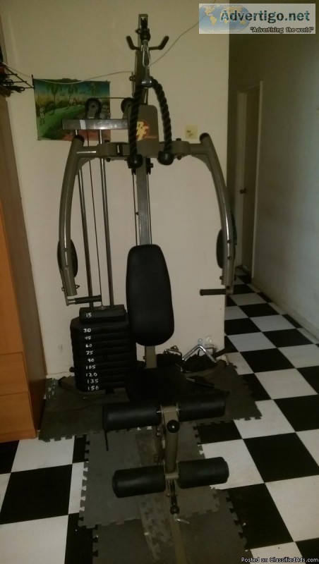 BFMG 20.2 GYM FOR SALE