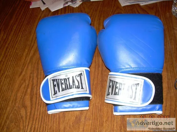 Everlast Boxing Gloves