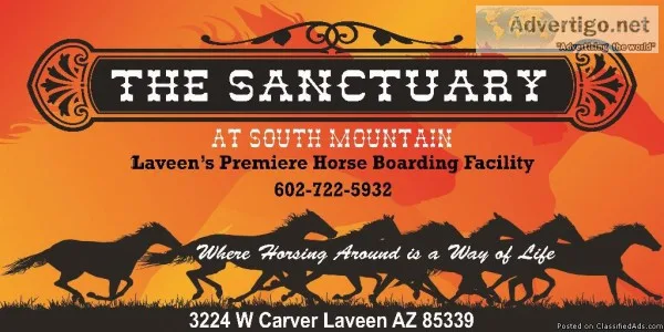 Horse BoardingLeasing