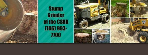 Stump Grinding  Removal  Dublin  Augusta  Louisville  CSRA
