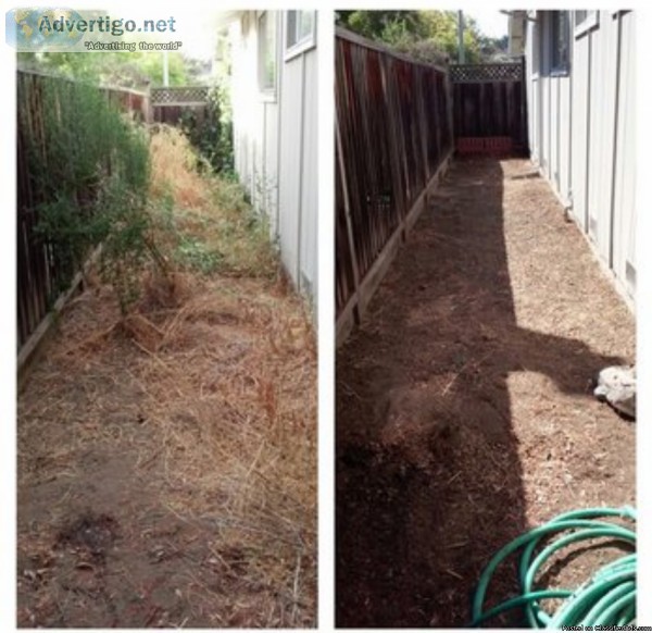 Providing leaf removal tree trimming gutter cleaning also indoor