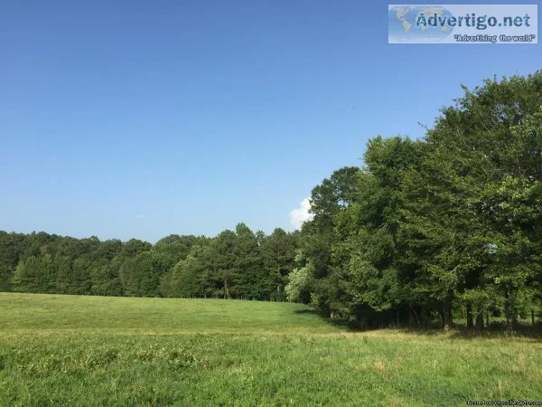 Cattle Farm For Sale