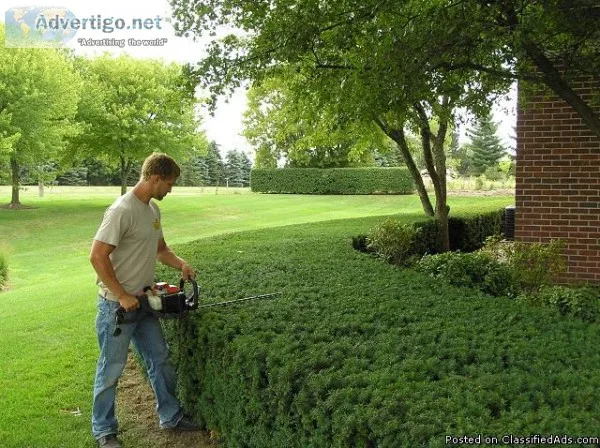HIRE US FOR ALL YOUR GARDENING NEEDS INCLUDING WEED ABATEMENTHED