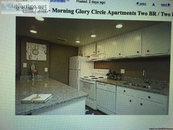 Roommate Wanted for New Apartment