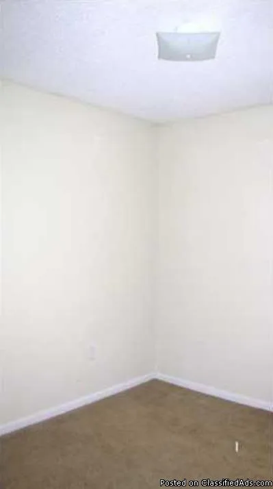 roommate wanted no lease month to month