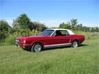 1965 Ford Mustang For Sale