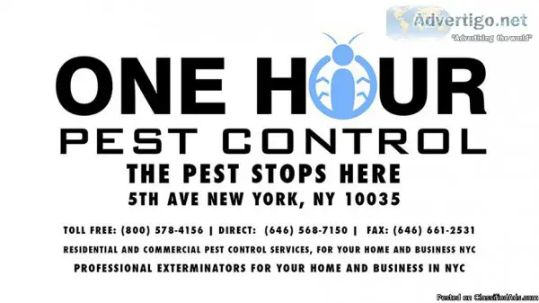 24 Hour Pest Control Experts