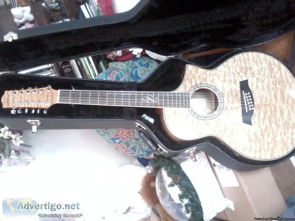 12 string Acoustic-Electric