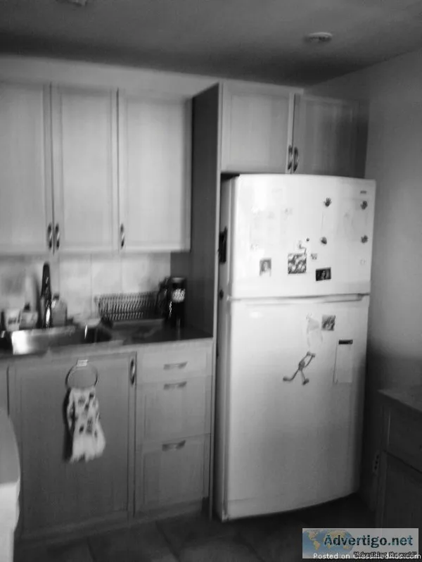 IKEA kitchen cabinets counters sink fridge microwave