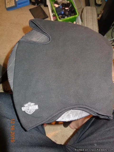 Harley-Davidson Skully