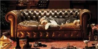 Tufted Furniture Both Stylish and Popular   Furniture Now 