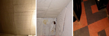 Mold Removal Vancouver