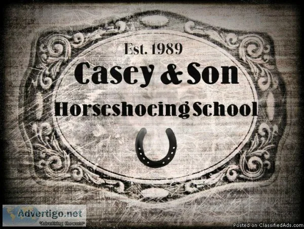 Learn to shoe horses professionally