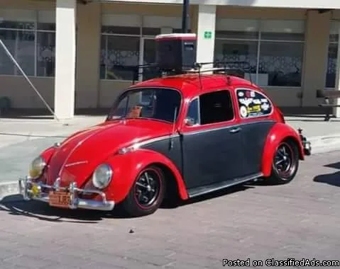 1966 bug