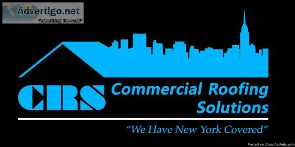 Affordable Solutions for  Roofing and Skylight Repairs