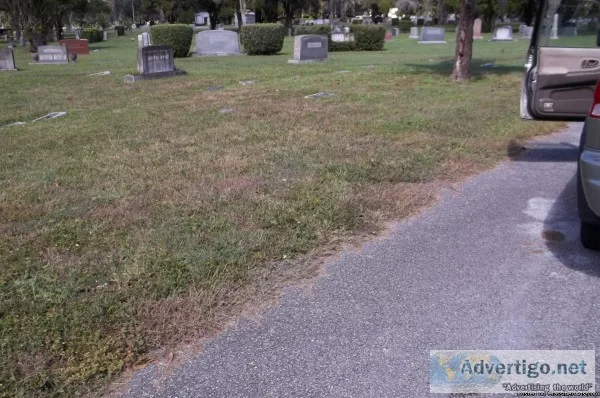 Cemetery Spaces&quotMyrtle Hill&quot