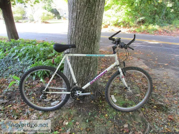 Bright Eyes 7670 - Female Domestic Longhair