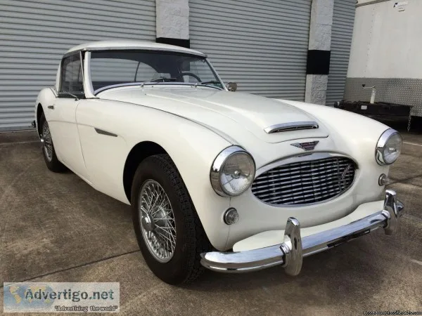 1959 Austin Healey 3000