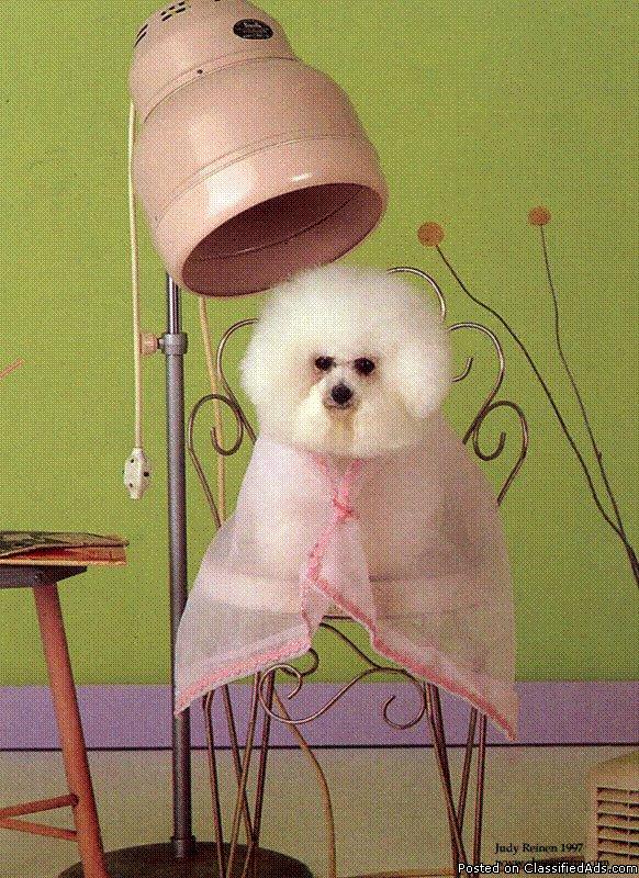 Pet Grooming
