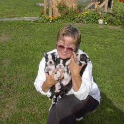 Sequim Private Dog Kennel