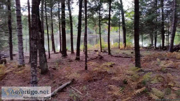 Off Grid Owner Financed Riverfront Lot