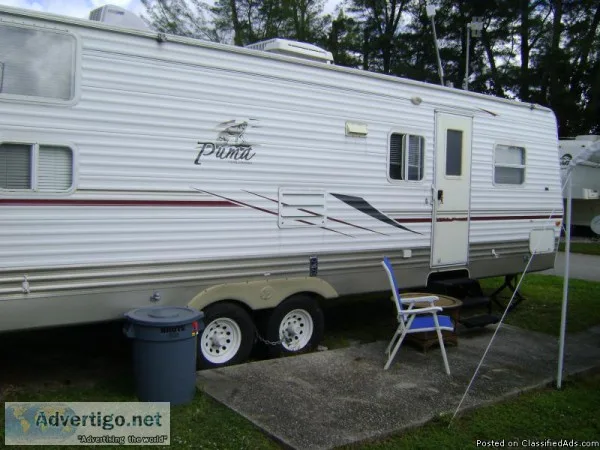 2005-33  Palimino T.V  --for  sale