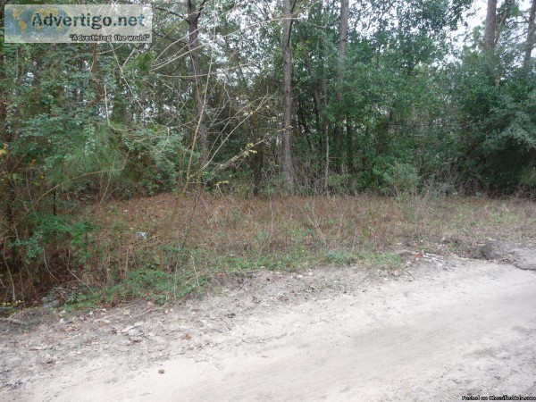 Lot near 59 North  FM 1960- no restrictions